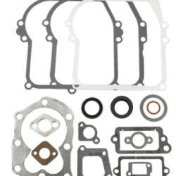 SET TESNIL ZA MOTOR BRIGGS AND STRATTON SPRINT, QUATTRO