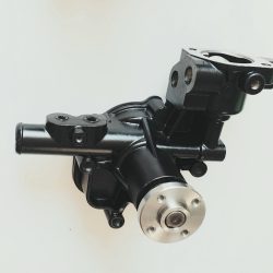 VODNA PUMPA / VODNA ČRPALKA LANDINI MISTRAL 50