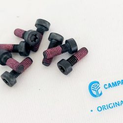 TORX VIJAK M4X12mm CAMPAGNOLA ALICE PREMIUM ETRA.0125