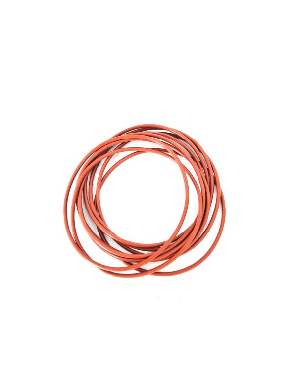 ORING LOMBARDINI LDW1603 - Image 2