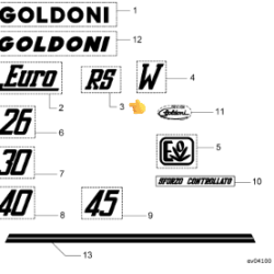 NALEPKA / NAPIS NA HAUBI "RS" ZA MODEL GOLDONI EURO